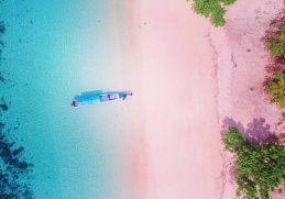 Pantai Berpasir Pink Pulau Komodo, Image By : @tix_travel