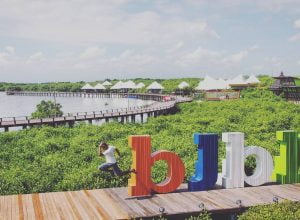 Bee Jay Bakau Resort, Eksotisme Hutan Mangrove Dari Probolinggo