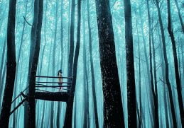 hutan pinus imogiri yang instagramable