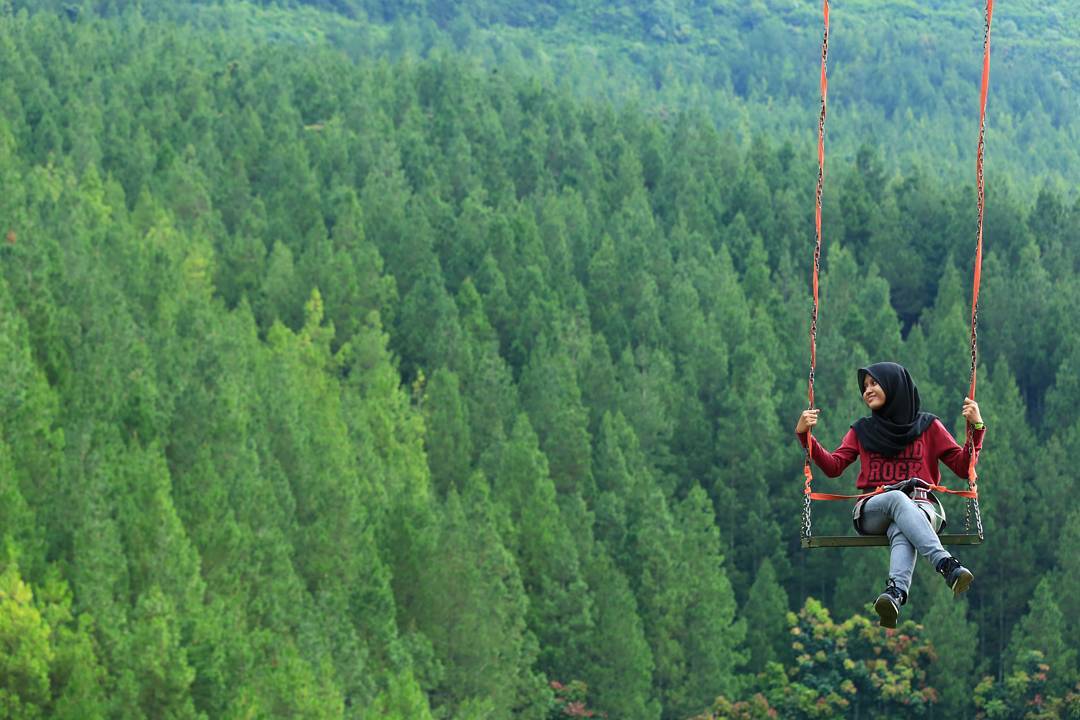 Hutan Pinus Bandung Tempat Wisata Hits dan Kekinian