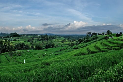 Desa Tetebatu lombok
