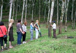 Belajar Tentang Perkebunan di Agrowisata Kaliklatak