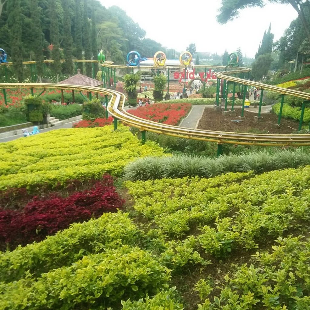 Taman Bunga Selecta