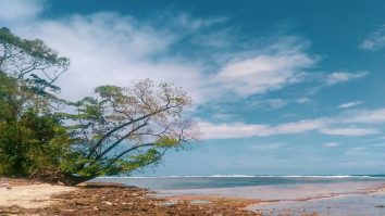 Pantai Cijeruk Indah, Image By IG : @dy_dianto