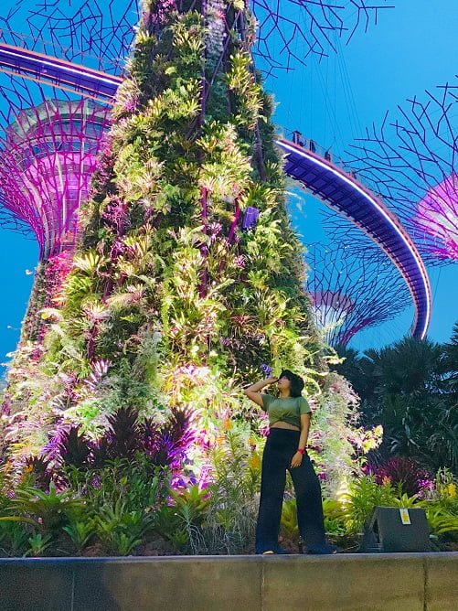 Garden by The Bay, Photo By : @enchagram
