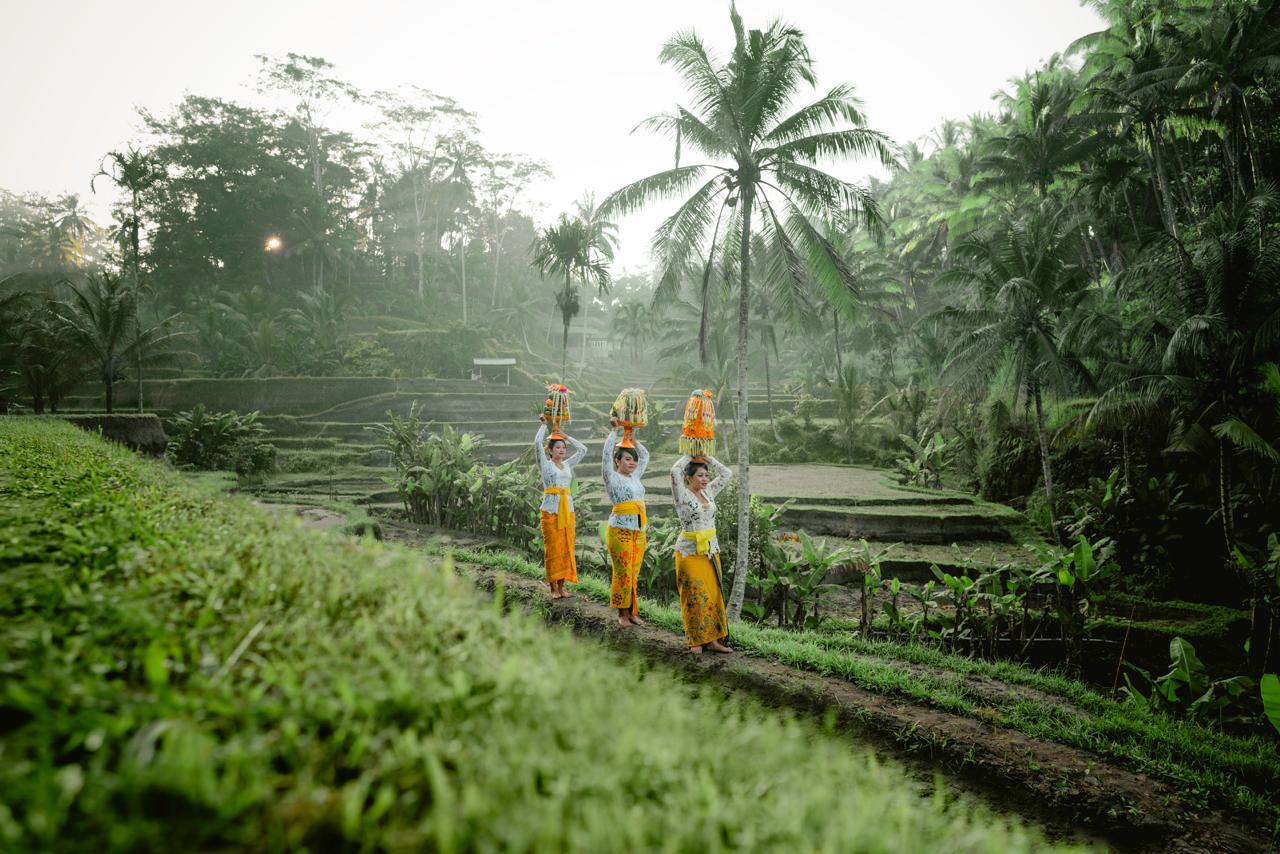Demi Wujudkan Pariwisata Berkelanjutan, Bali Akan Fokus pada Kelestarian Lingkungan