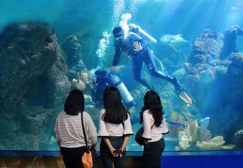 Fun Dive Sea World Ancol, image by IG : @seaworld.ancol
