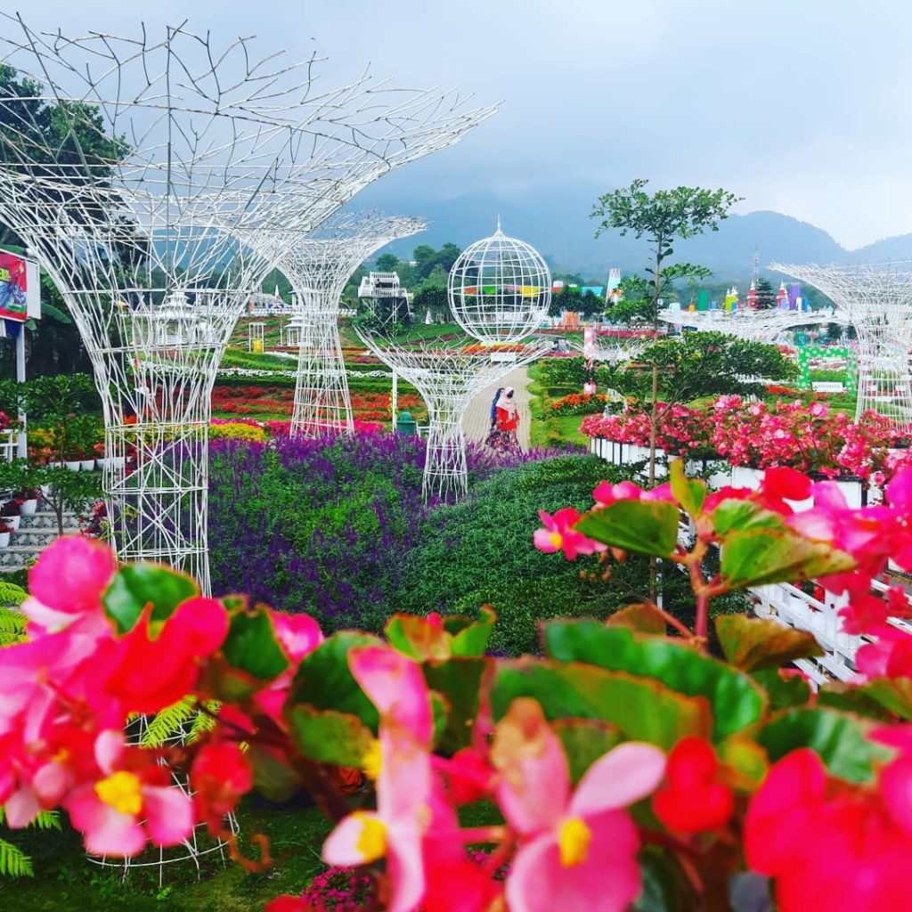 Wisata Taman Bunga Celosia, Tiket Masuk, Fasilitas Lengkap dan Wahana