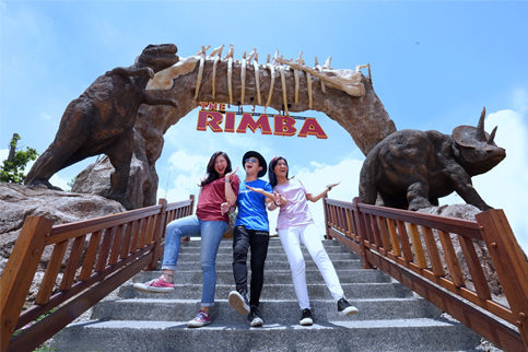 The Rimba, image by : jtp.id