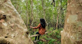Kemenparekraf Siap Mendukung Pengelolaan Ekosistem Mangrove untuk Ekowisata