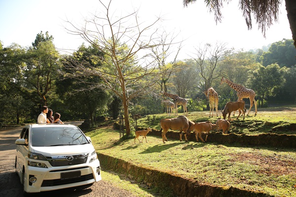 Taman Safari Indonesia Bogor 2024