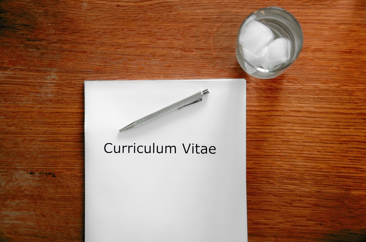 Cara membuat CV yang baik dan benar, Gambar oleh Tobias Herrmann dari Pixabay 