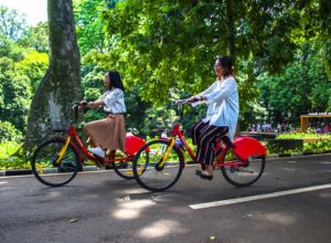 Naik Sepeda di Kebun Raya Purwodadi, photo : kebunraya.id/purwodadi