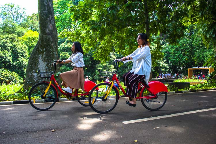 Naik Sepeda di Kebun Raya Purwodadi, photo : kebunraya.id/purwodadi