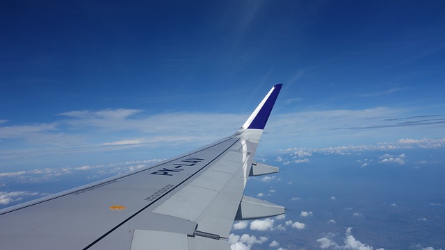 Penerbangan Internasional ke Bali, Gambar oleh Nahri Zayn dari Pixabay 