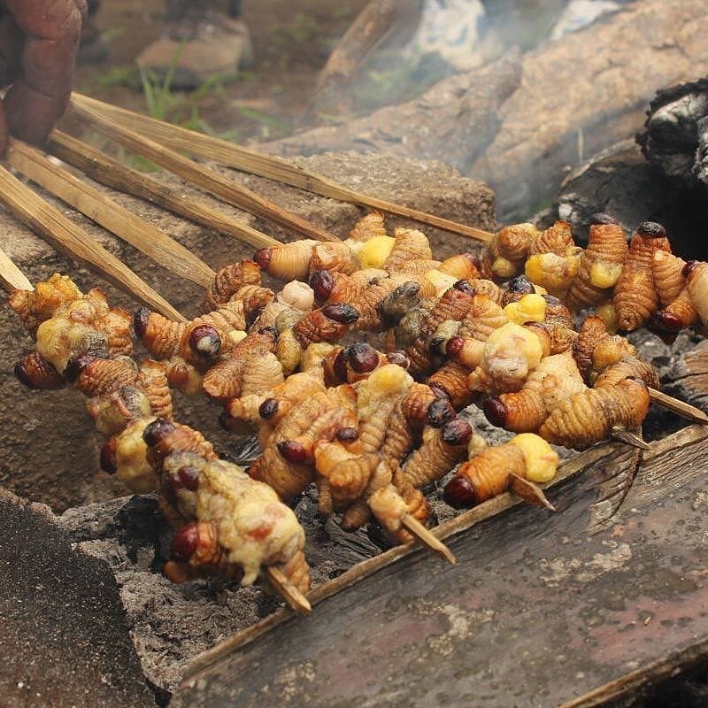 Sate Ulat Sagu Makanan Khas Papua, image by IG: @info.sate