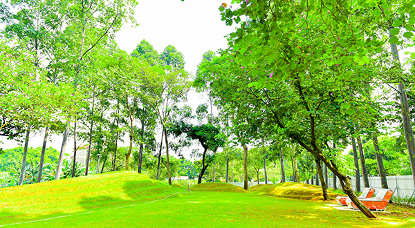 Community lawn Tebet Eco Park, image by : tebetecopark.id