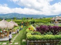Desa Wisata Jatiluwih Tabanan Bali Representasi Wisata Berkelanjutan