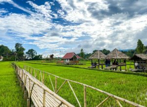 Andalkan Budaya dan Alam, Desa Wisata Tondok Bakaru Mamasa Sulbar Masuk 50 Besar ADWI 2022