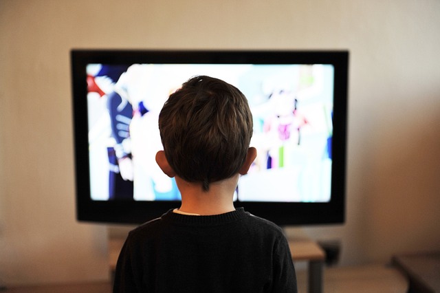 Cara Mendapatkan Set Top Box TV Digital Gratis, Image by Vidmir Raic from Pixabay