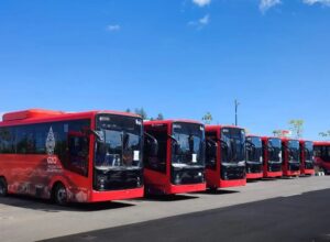 Dukung KTT G20, DAMRI Siap Operasikan 24 Bus Listrik