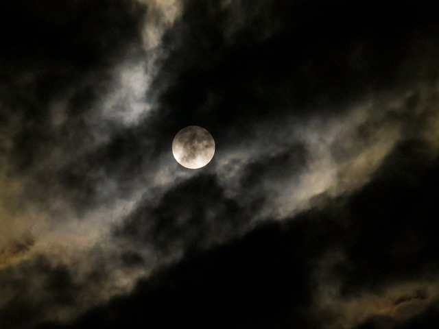 Gerhana Bulan Total 8 November, Bisa Dilihat dari Mana dan di Mana, Gambar oleh Gerhard dari Pixabay 