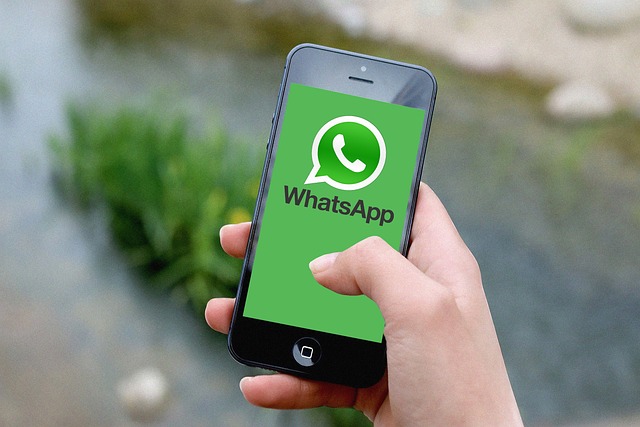 Bingung Alamat Proxy WhatsApp Diisi Apa Ini Cara dan Penjelasannya!Image by Victoria_Watercolor from Pixabay