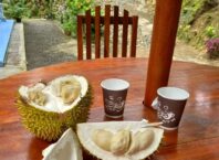 DURIAN CAFE, Durian Kaligesing