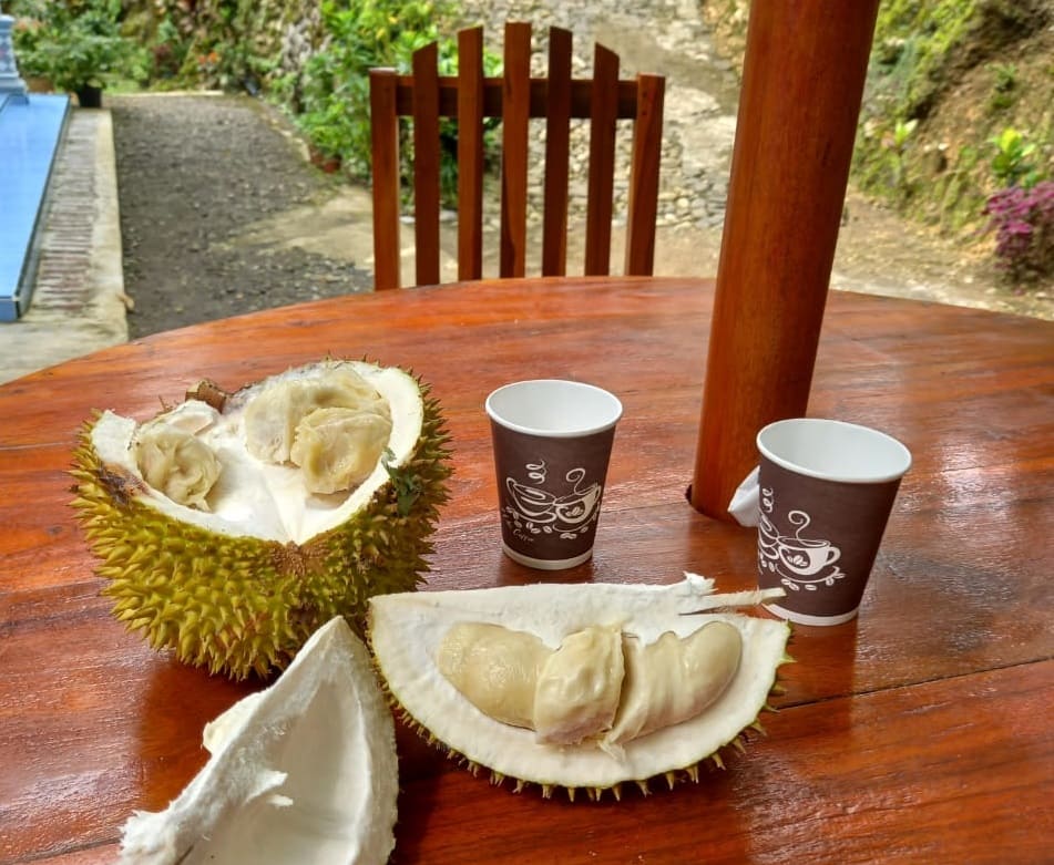 DURIAN CAFE, Durian Kaligesing Purworejo