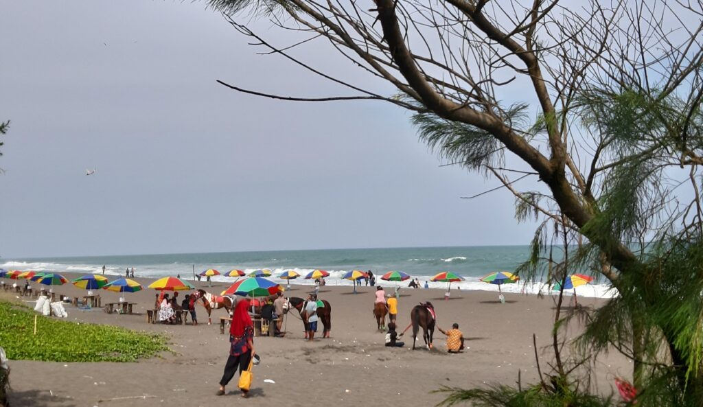 Keindahan Pantai Mliwis Kebumen, image by Google Map/wahyu wijayanto