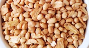 Resep Kacang Tojin Santan 1 KG Renyah, Cocok untuk Camilan, Bisa Dinikmati Kapan Saja!