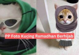 PP Foto Kucing Ramadhan Berhijab