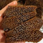 resep bolu karamel, sarang semut