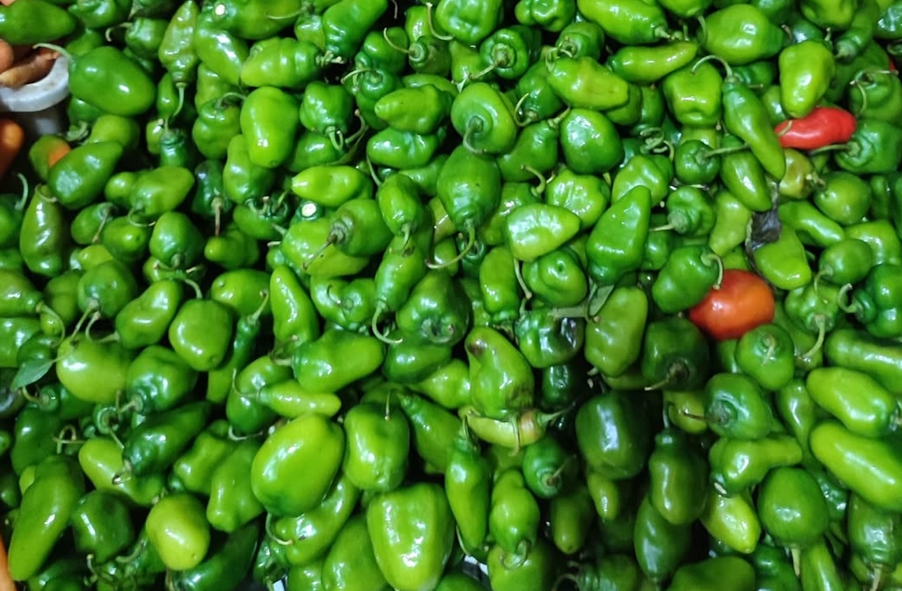 Mengenal Cabe Gendot, Si Cabai Imut yang Punya Tendangan Pedas Luar Biasa, image by IG: