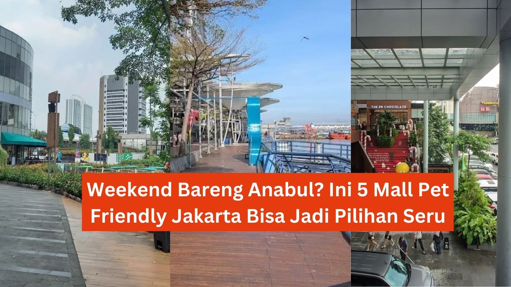 Weekend Bareng Anabul? Ini 5 Mall Pet Friendly Jakarta Bisa Jadi Pilihan Seru
