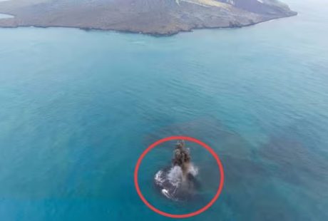 Daratan Baru Muncul di Dekat Anak Krakatau, Luasnya Hampir Setara Candi Prambanan