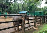 Peta Ragunan Zoo Terbaru