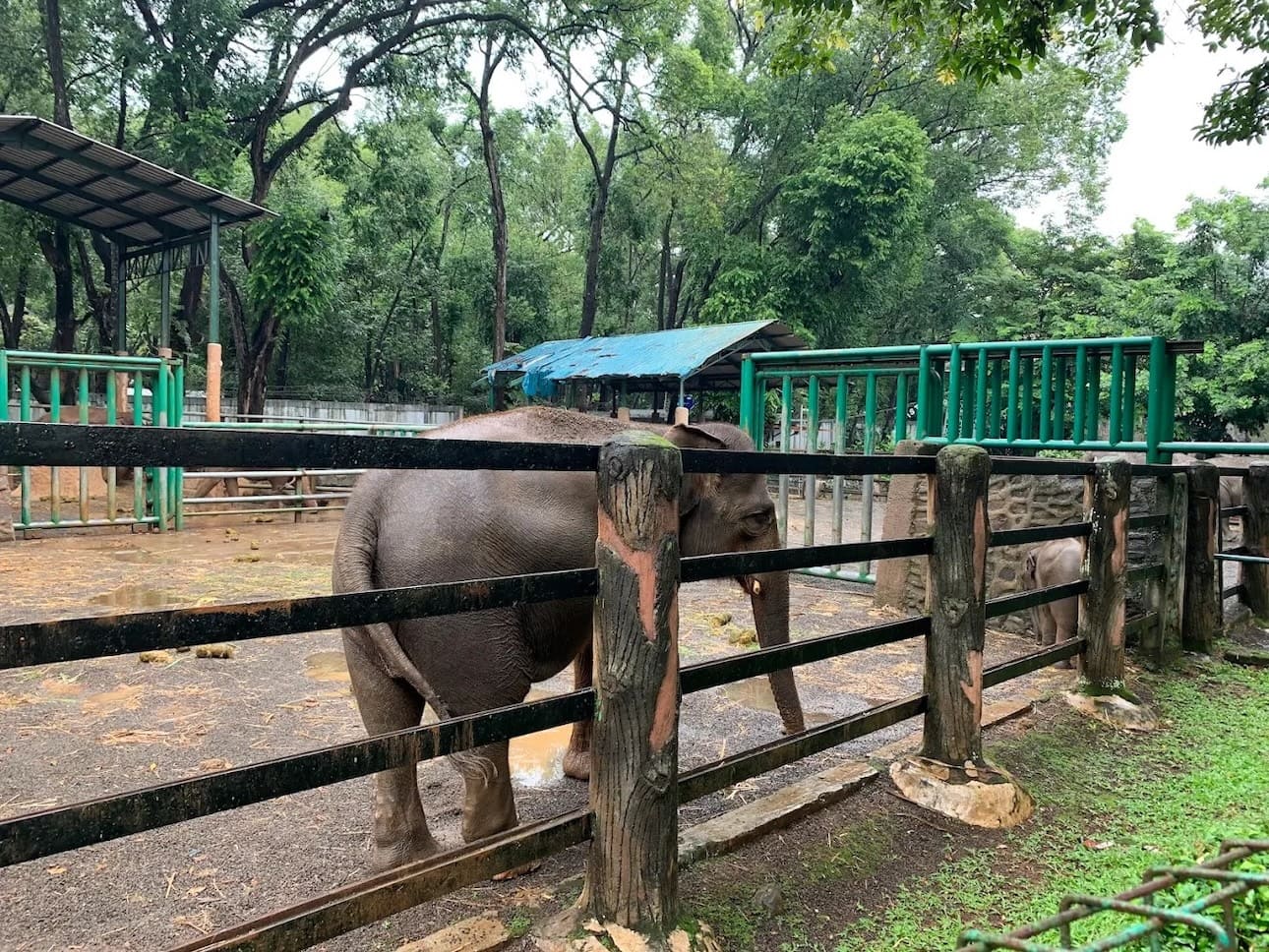 Peta Ragunan Zoo 2026: Panduan Lokasi Satwa, Pintu Masuk dan Fasilitas 1 Peta Ragunan Zoo Terbaru