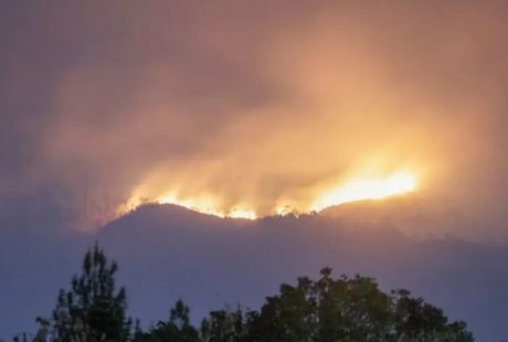 Kebakaran Kembali Muncul di Gunung Arjuno-Welirang, Titik Api Terlihat dari Tol Malang